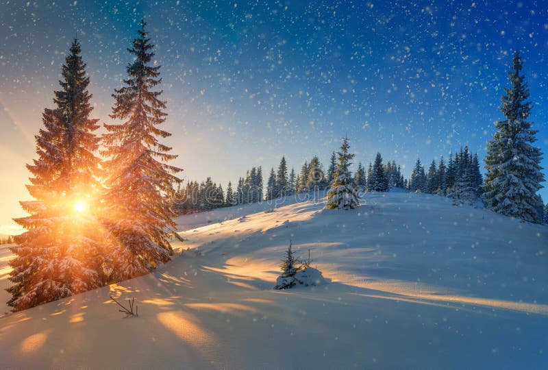 View Of Snow-covered Conifer Trees And Snow Flakes At Sunrise. Merry