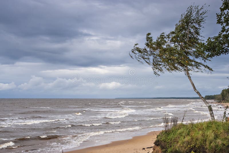 View on stormy Baltic sea
