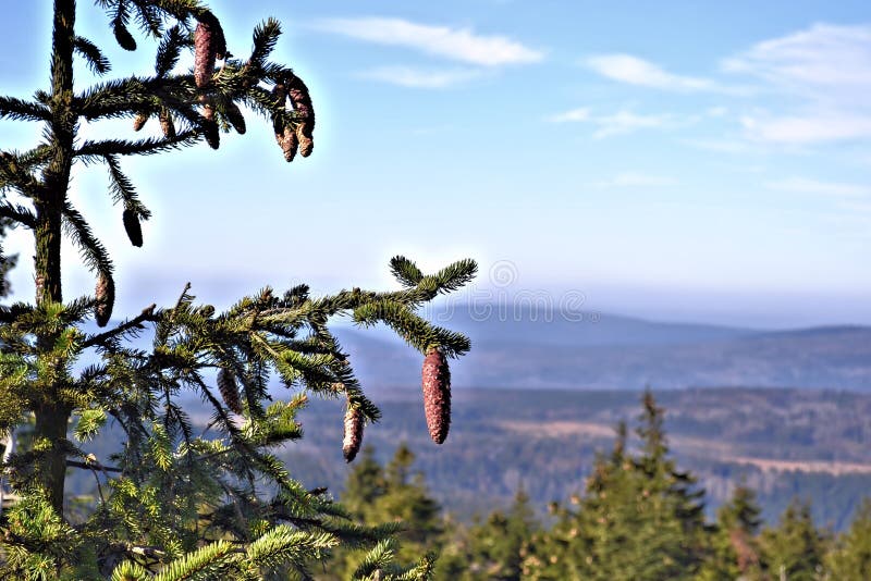 View from the summit of the Brocken