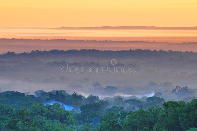 View of a sunrise above the Peten jungle with the pyramids of Tikal towering above the tree canopy in Guatemala.