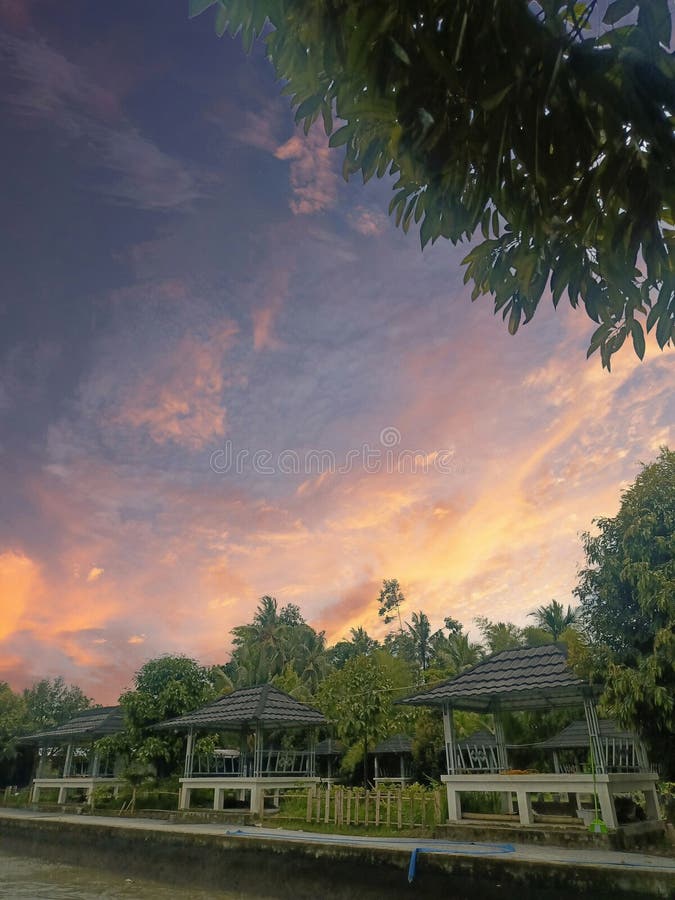 View of sunset on garden with beautiful color stock images