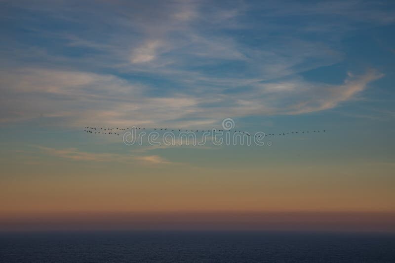 Seascape View Of Sea Horizon And Blue Sky At Sunset Stock Photo