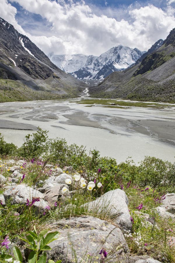 View to Beluha mountain from the Akkem valley in summer day, Altay, Russia