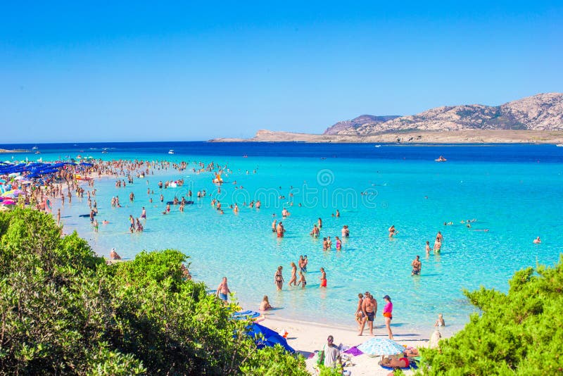 View to the city beach with lots of people sunbathing and swimming. View from the top of a skyscraper. stock images View to the city beach with lots of people sunbathing and swimming. View from the top of a skyscraper. stock images