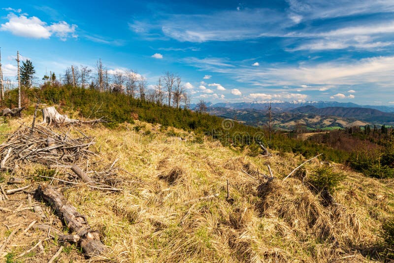 View to Mala Fatra mountains from forest glade bellow Chotarny kopec hill summit in Javorniky mountains in Slovakia