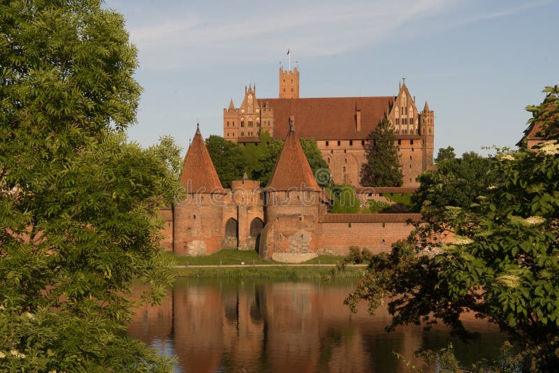 View through some bushes to Malbork Castle stock image