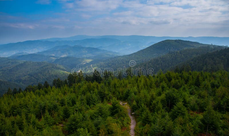 Landscape in the black forest in germany