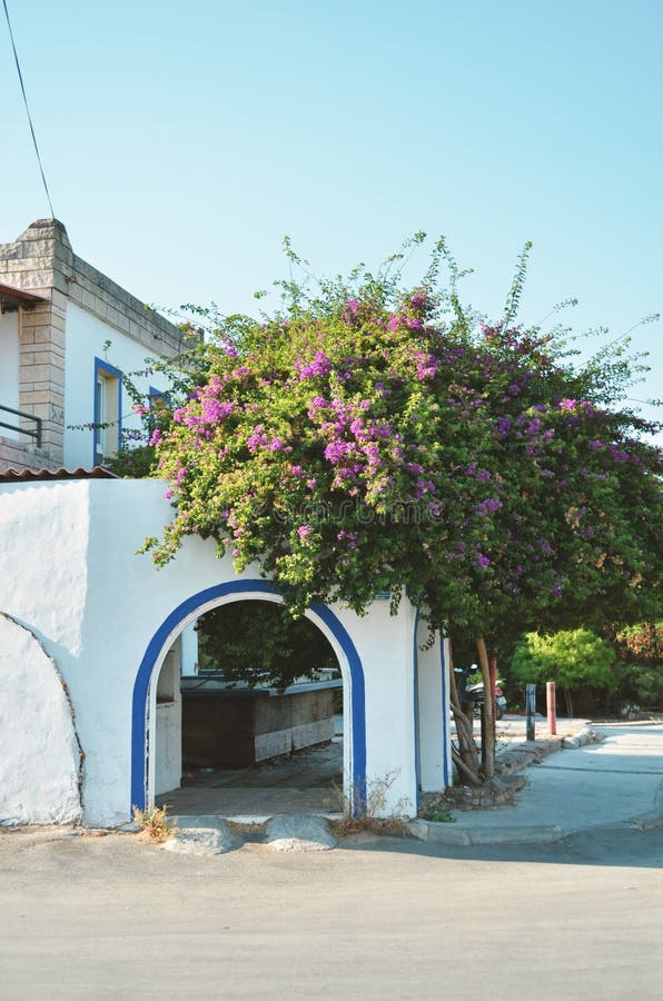 View of a Traditional Bodrum House. Stock Image Image of street