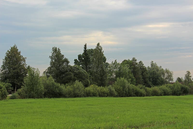 View of Trees at the Edge of the Field Stock Photo Image of