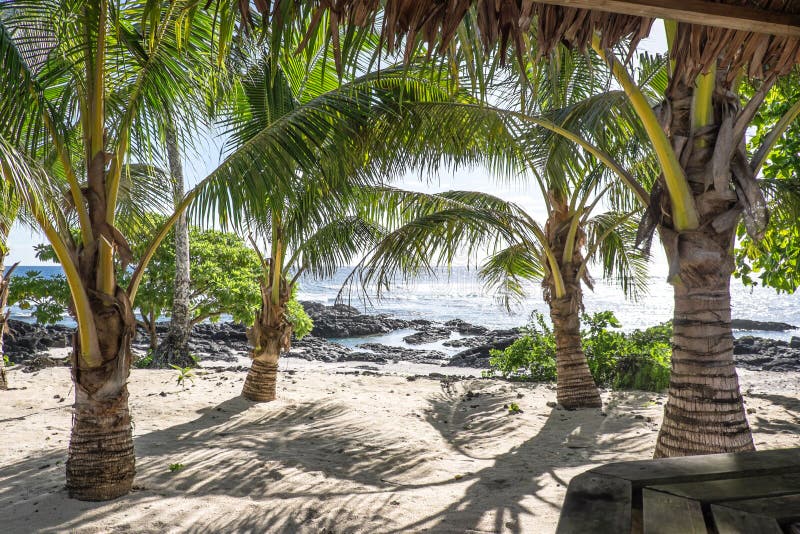 View from a tropical bar onto sandy and rocky beach with palm tr