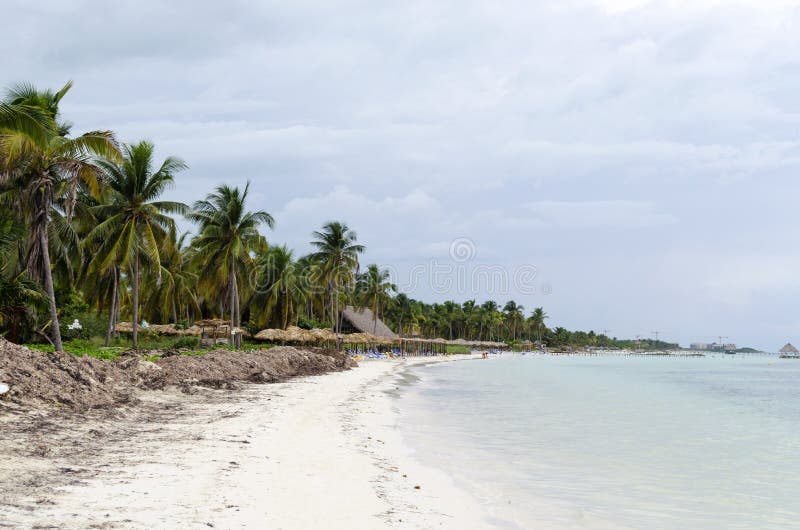 View of tropical beach in Cayo Guillermo stock photography View of tropical beach in Cayo Guillermo stock photography