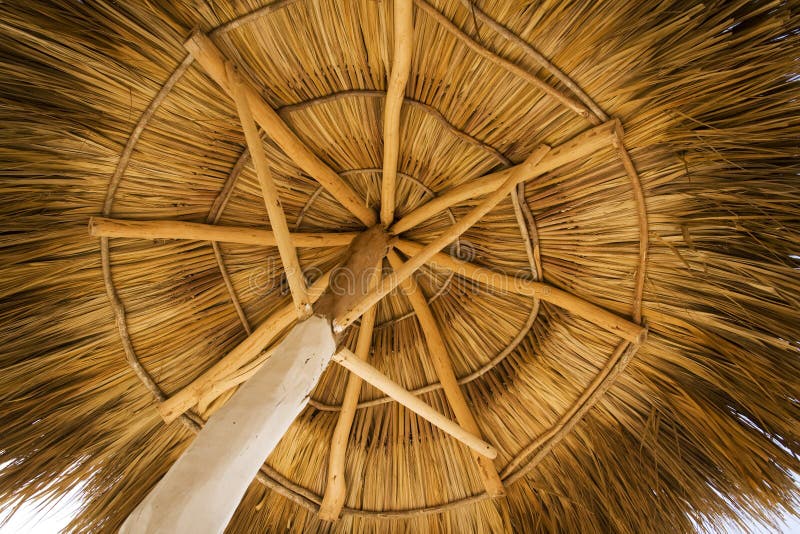View from under a palapa