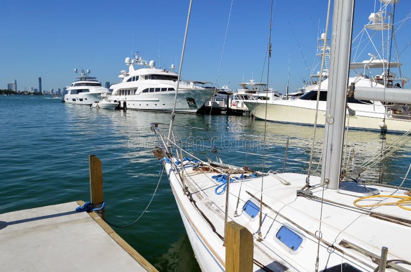 4 898 Florida Marina Photos Free Royalty Free Stock Photos From Dreamstime