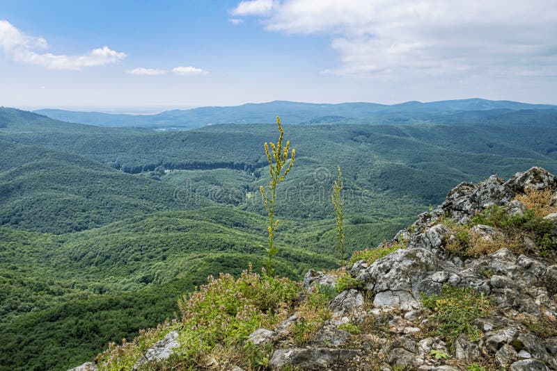 Pohled z Vápenné - vrch Rostun, Malé Karpaty, Slovensko