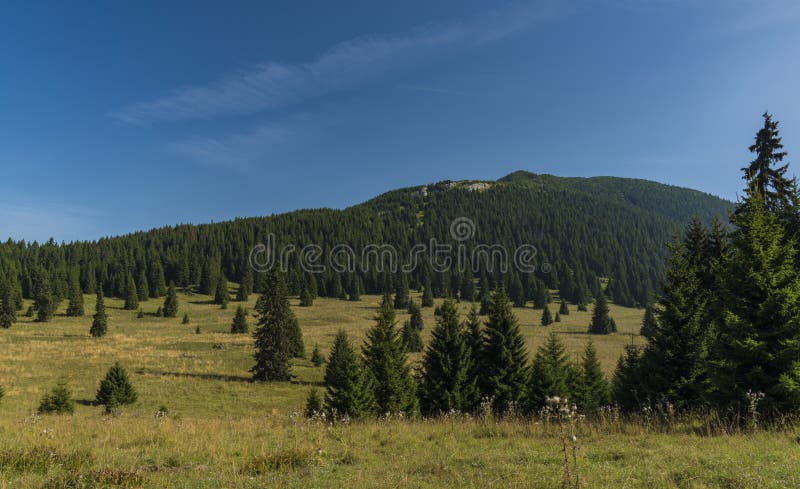 View in Velky Choc area in Slovakia mountains