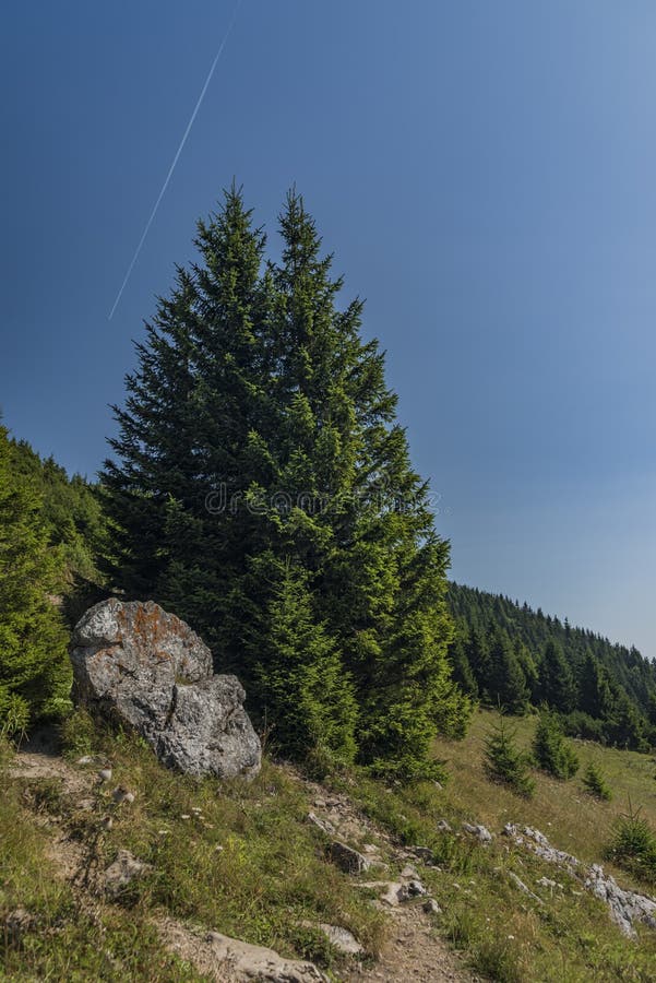 View in Velky Choc area in Slovakia mountains