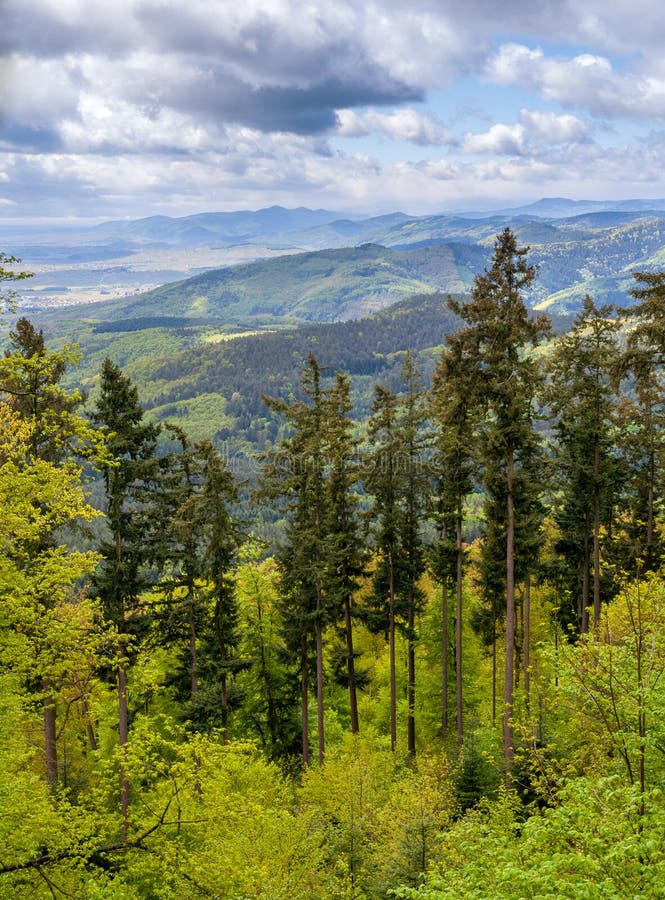 View of Vosges Mountains in Alsace France Stock Photo Image of