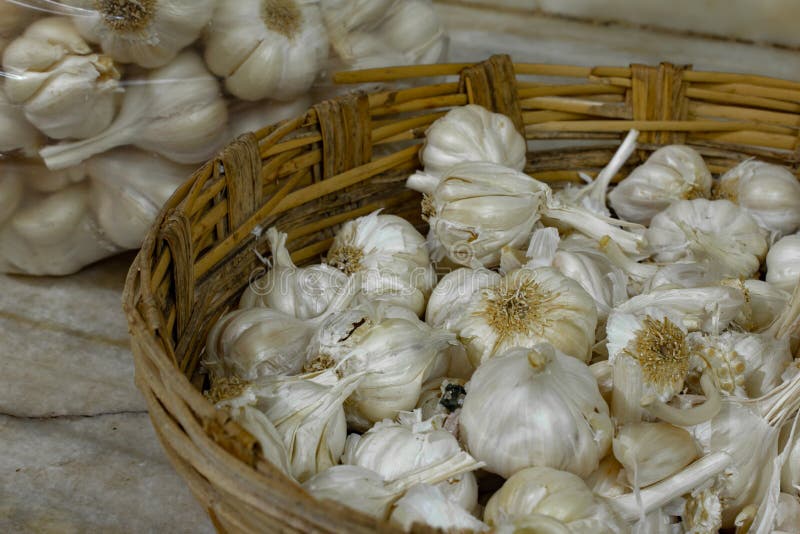 View of Whole Garlic Bulbs. Garlic Helps Build Immunity Against Cold