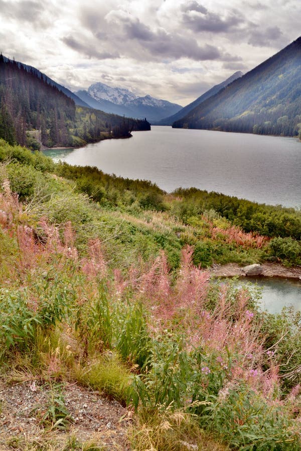 416 Pemberton Valley Stock Photos Free & RoyaltyFree Stock Photos