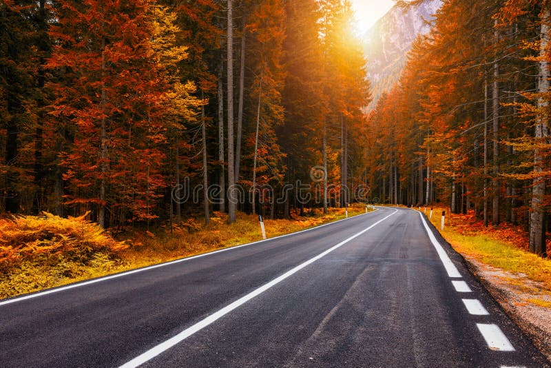 View of winding road. Asphalt roads in the Italian Alps in South Tyrol, during autumn season. Autumn scene with curved road and yellow larches from both sides in alp forest. Dolomite Alps. Italy.