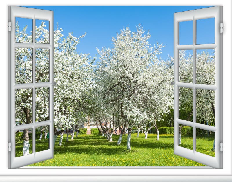 View window flowering tree