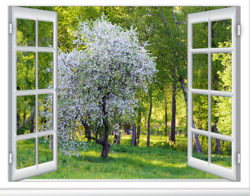 View window flowering tree