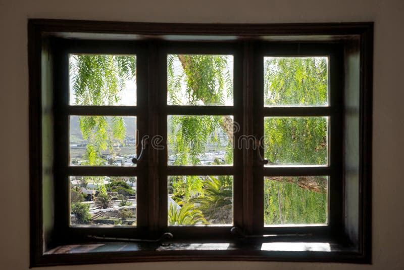 View From The Window On The Plants Stock Image Image Of Beauty Background 133095163