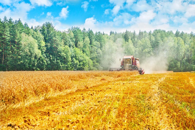 View on Work of Combine Harvester Wheat Field in Stock Image Image of