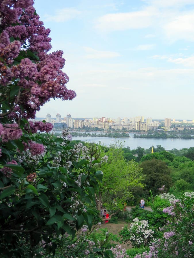 Views of Kiev from botanical garden stock photos