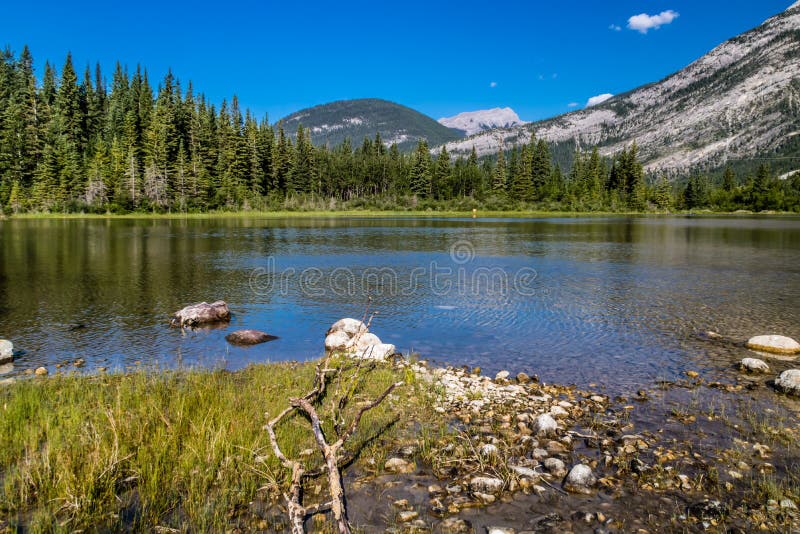 Views from the Valley. Bow Valley Provincial Park. Alberta Canada Stock