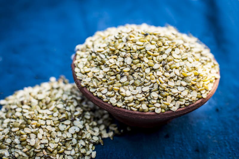 BIO Mungobohnen Sprossen 500g | Vigna Radiata Keimsprossen Anzucht