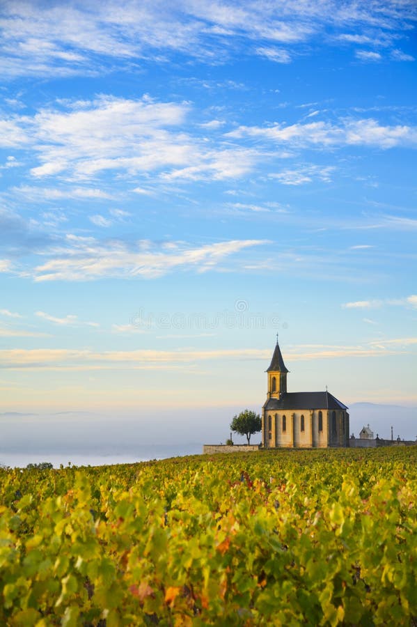 Vigne e chiesa in Beaujolais con un grande cielo blu a sunr immagini stock libere da diritti Vigne e chiesa in Beaujolais con un grande cielo blu a sunr immagini stock libere da diritti