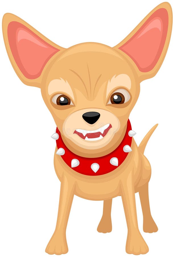 Vignetta su chihuahua, colletto rosso royalty illustrazione gratis
