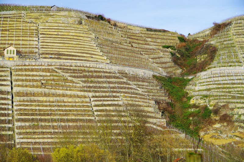 Vignoble raide avec la falaise et la hutte 2 de montagne de vignoble photos stock Vignoble raide avec la falaise et la hutte 2 de montagne de vignoble photos stock