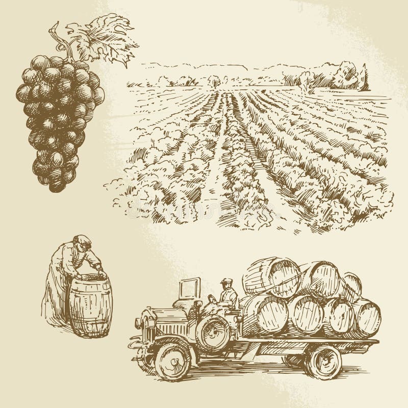 Vineyard, harvest, farm - hand drawn collection. Vineyard, harvest, farm - hand drawn collection