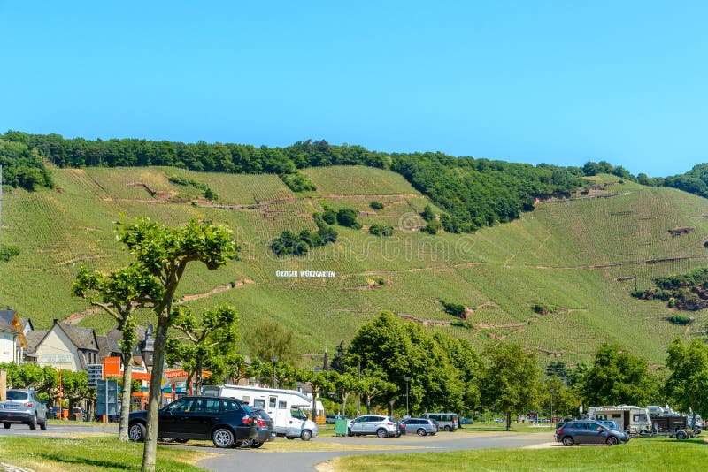 Vignobles dans la vallée de la Moselle photo stock Vignobles dans la vallée de la Moselle photo stock