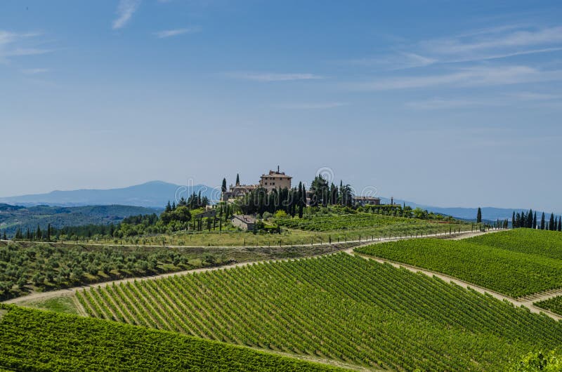 Vignobles du Toscan de chianti de secteur photos stock Vignobles du Toscan de chianti de secteur photos stock