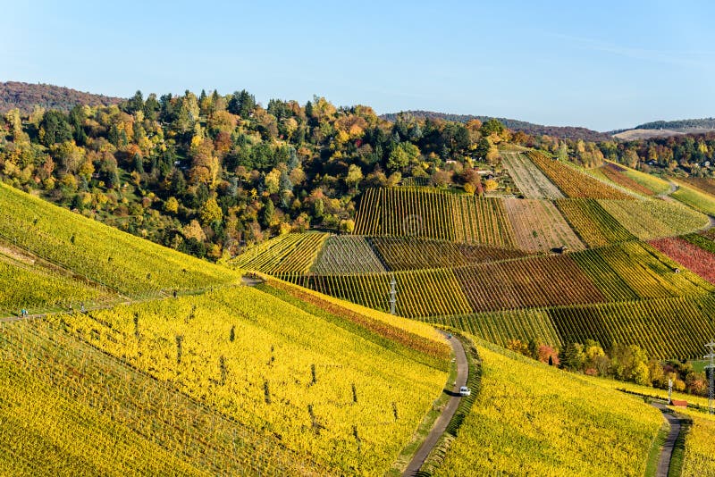 Vignobles ? Stuttgart - belle r?gion de vin dans les sud de l'Allemagne photos libres de droits Vignobles ? Stuttgart - belle r?gion de vin dans les sud de l'Allemagne photos libres de droits