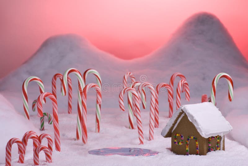 Vijver van de Zonsondergang van het Riet van het Suikergoed van Kerstmis de Bos Roze royalty-vrije stock afbeelding Vijver van de Zonsondergang van het Riet van het Suikergoed van Kerstmis de Bos Roze royalty-vrije stock afbeelding