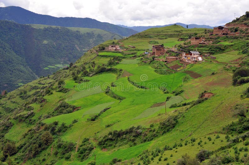 View of Tibetan houses from the top of mountain. View of Tibetan houses from the top of mountain