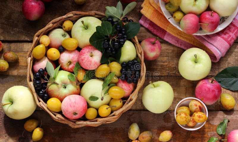 Village apples, plums and black chokeberry on the table