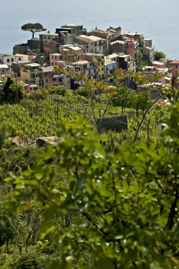 The village of Corniglia, Cinque Terre seen from a path on the hill overlooking the sea stock photo The village of Corniglia, Cinque Terre seen from a path on the hill overlooking the sea stock photo