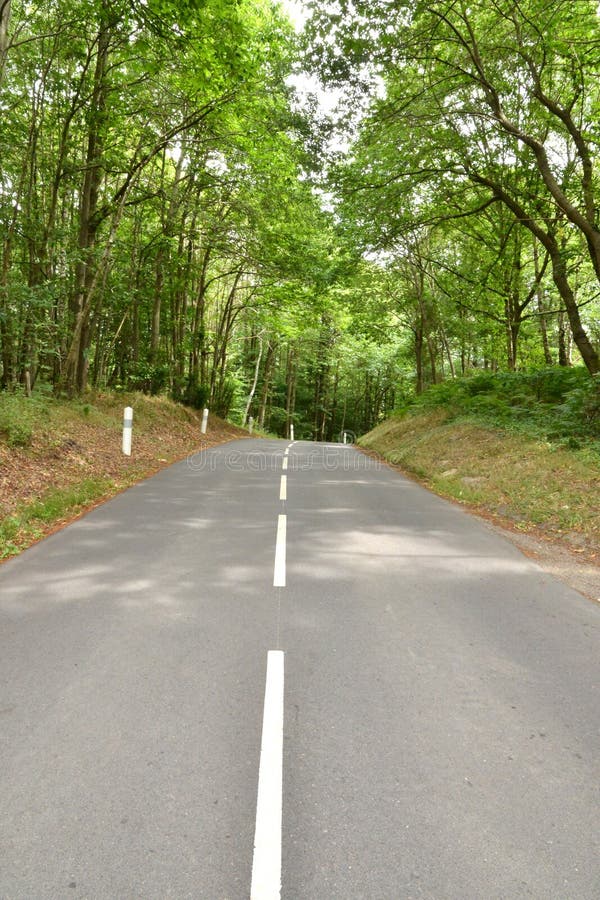 Village de Joli de dit de Wy, France - 8 août 2015 : forêt photo stock Village de Joli de dit de Wy, France - 8 août 2015 : forêt photo stock