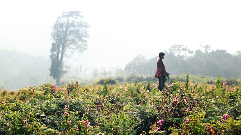 A village girl in the flower meadow