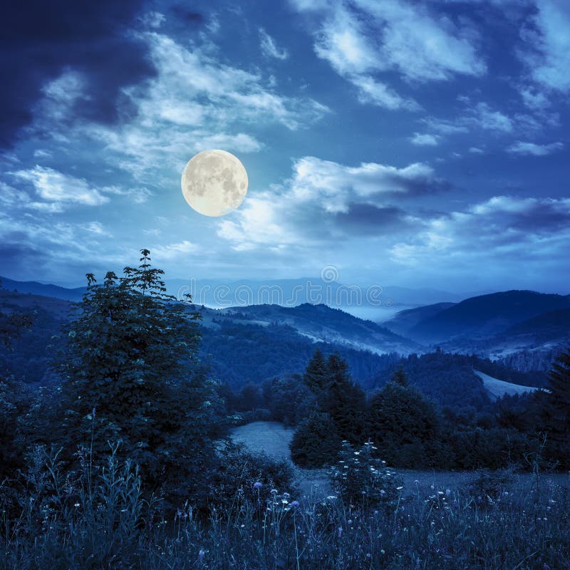 morning moon village morning moon village