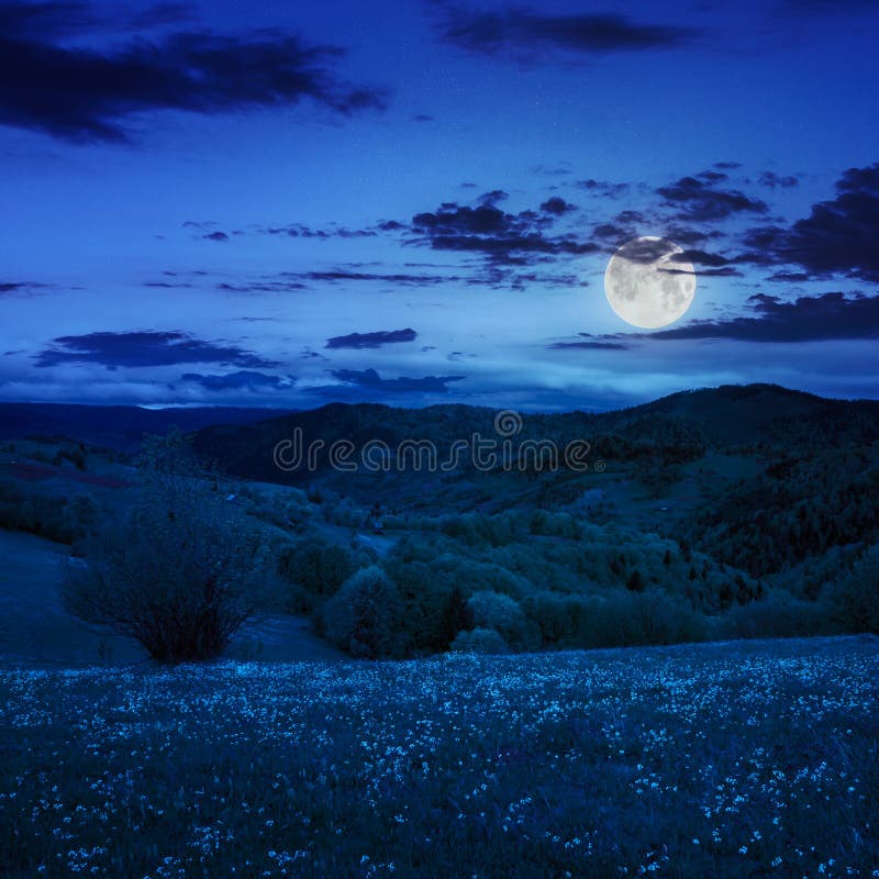 village on hillside meadow with forest in mountain Free Photo