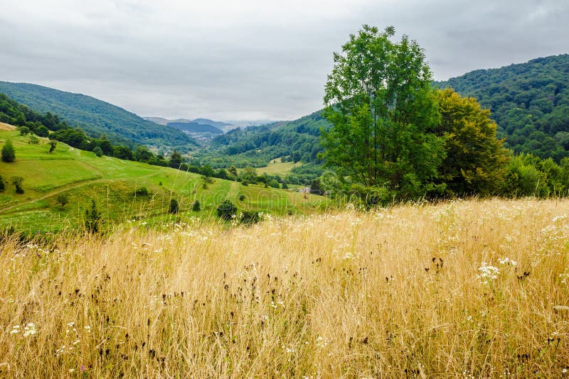 Village On Hillside Meadow Stock Image Image Of Rural 67715535