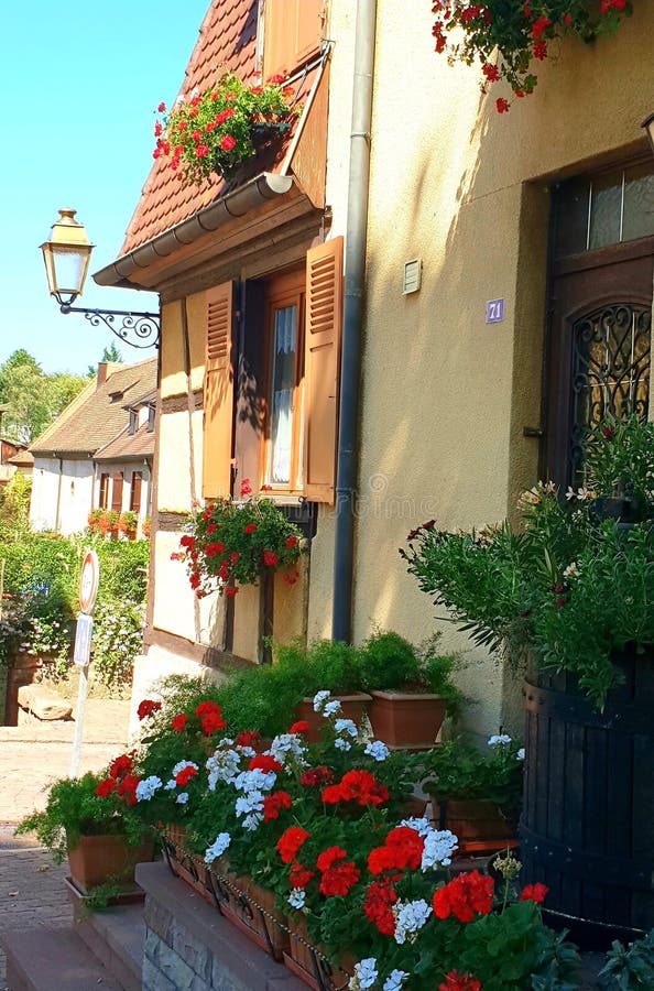 The Village Greenery The Village Greenery