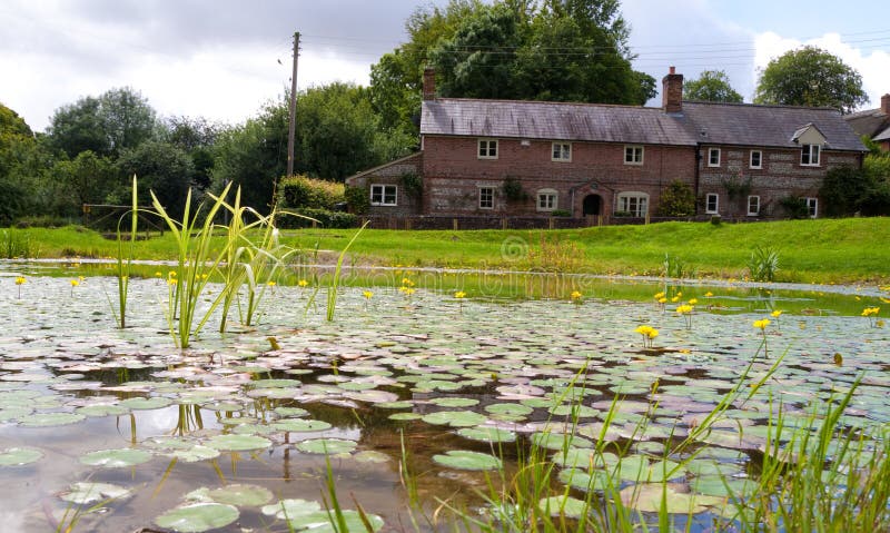 A Village Pond in Dorset ,UK