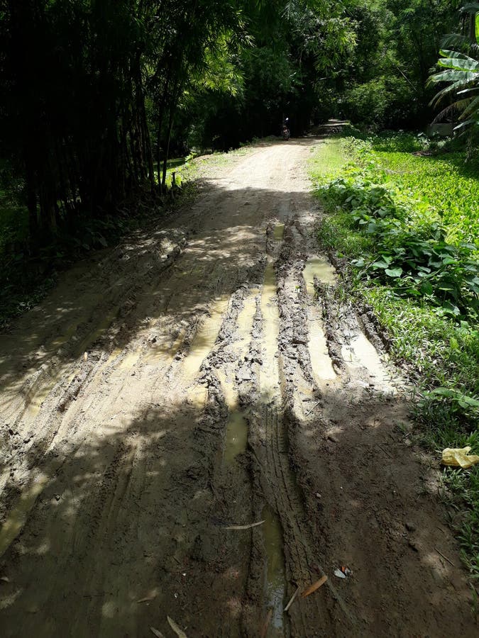 Village Road Bad Condition Not Constructed.people Feel so Much Problem